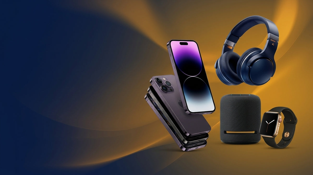 Discover the Best Products